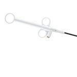 Disposable Polypectomy Snare